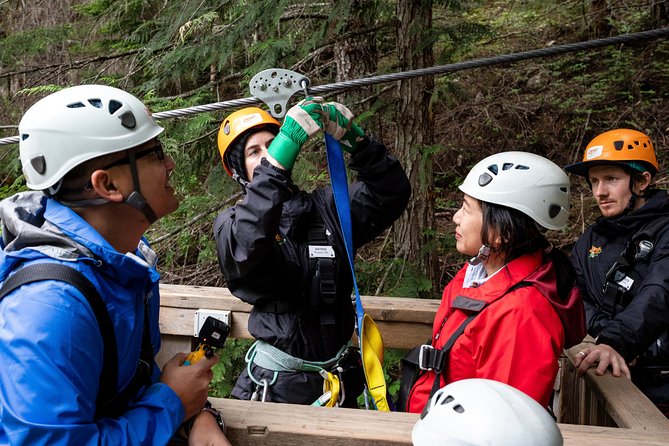 Zipline Adventure in Whistler - Views that change with the season