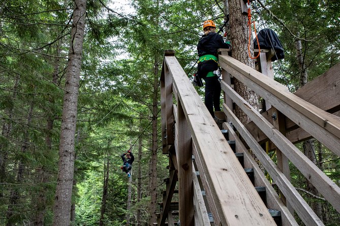 Zipline Adventure in Whistler - Practical booking advice