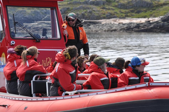 Zodiac Boat Whale and Wildlife 6-Hour Tour from Campbell River - The guide can shape the whole day