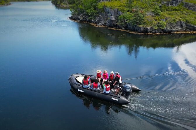 Zodiac Coastal Tour with Naturalist Guide: Lunenburg - Why this Lunenburg boat trip feels different